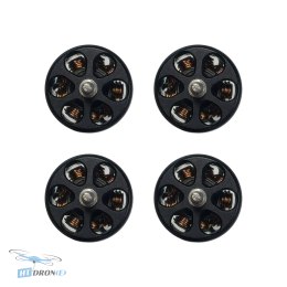 Двигун NewBeeDrone Hummingbird RaceSpec 0702 30000KV brushless FPV купити в HTDRONE