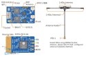 BAYCK Pilotix TX Module Dual band вид збоку, купити зараз в HTDRONE