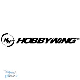 Привід Hobbywing CM-X6-Plus-G2-14S-D30-BLACK-CCW-HW основний вид двигуна