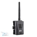 RadioMaster TX Module RadioMaster Micro/Nano 4in1 LBT головне фото купити в HTDRONE